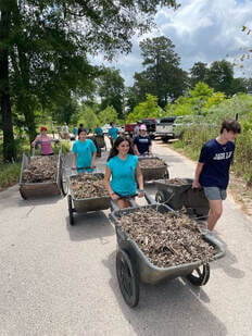 Teens in a youth volunteer program push mulch-filled wheelbarrows during a service project.